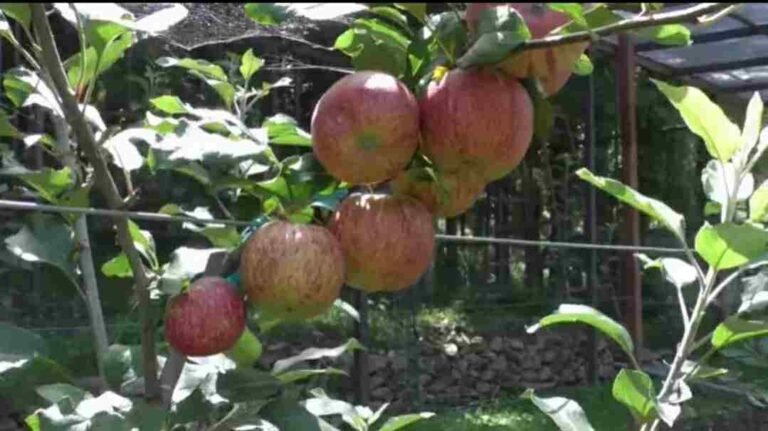 Screenshot_20200821-192808_Facebook_compress66