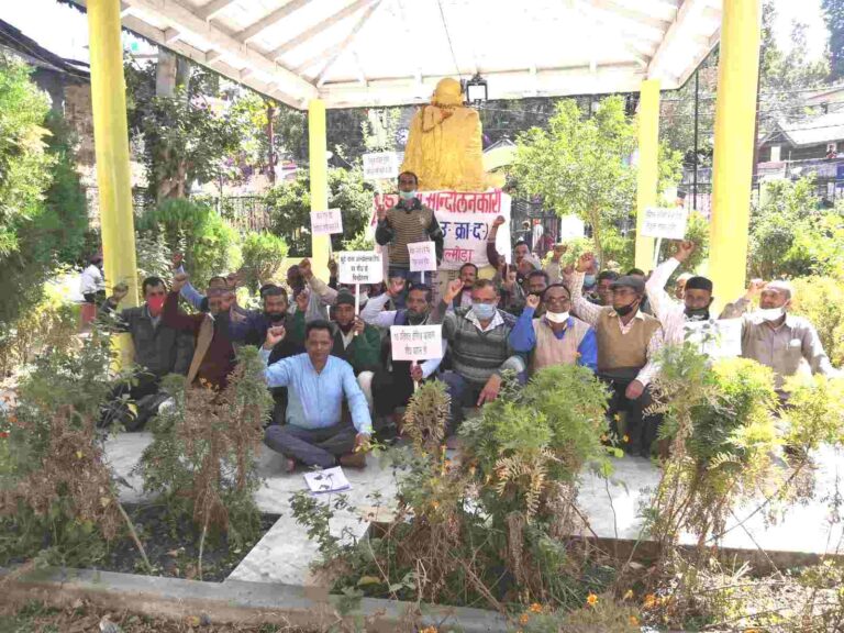 IMG_20201102_143624_compress55