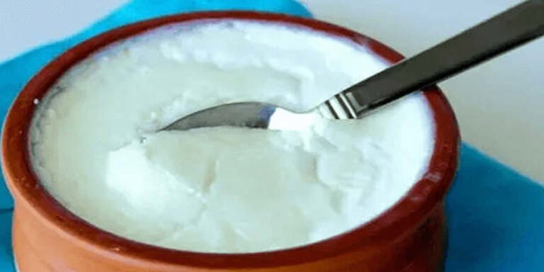 dahi curd