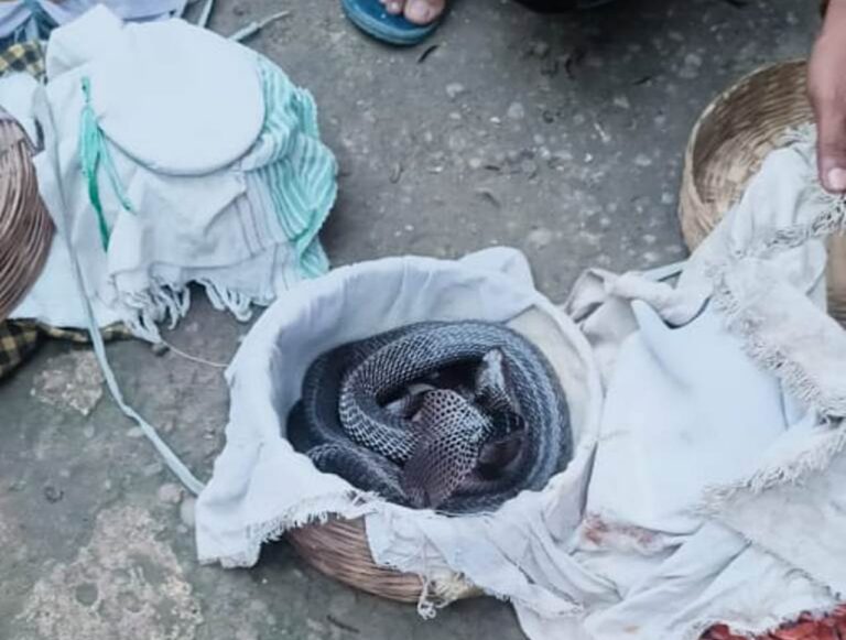 WhatsApp Image 2021-08-25 at 6.14.02 PM