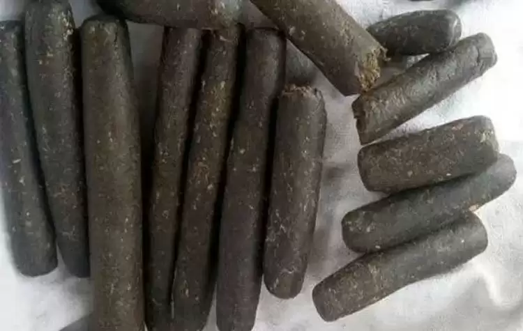 Udhamsingh Nagar । संदिग्ध बाइक सवार से एक किग्रा चरस बरामद, बाइक हुई सीज