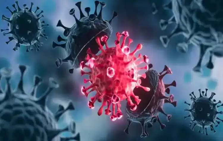 Chamoli । चमोली जिला मुख्यालय गोपेश्वर के राजकीय नर्सिंग कालेज में 56 छात्राएं मिलीं कोरोना संक्रमित