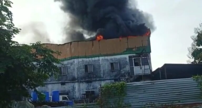 IMG_20221030_103338-1024x545