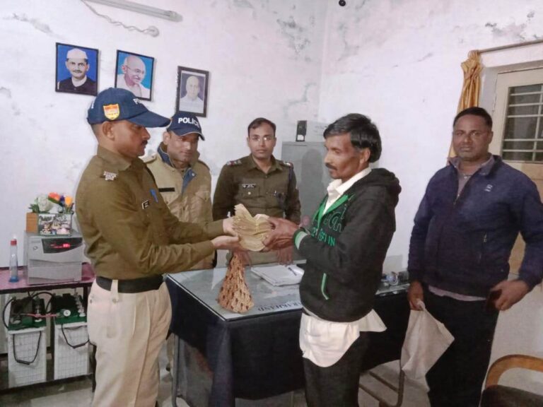 WhatsApp Image 2022-11-01 at 3.04.01 PM