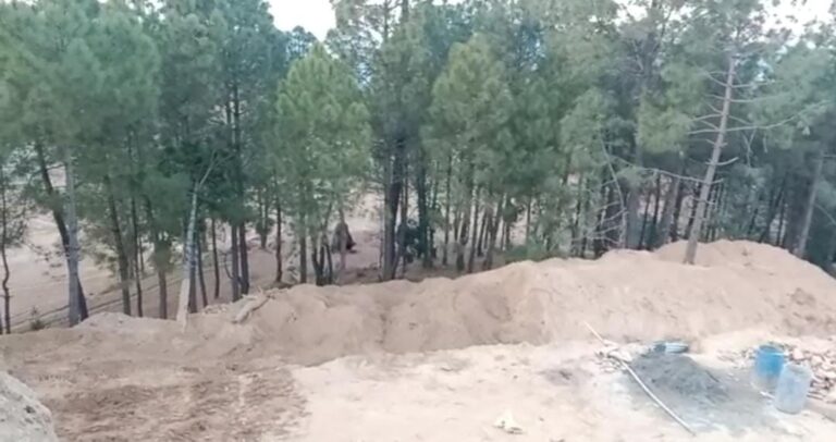 WhatsApp Image 2023-01-22 at 3.19.13 PM