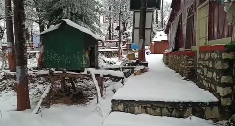 WhatsApp Image 2023-01-30 at 7.20.43 PM