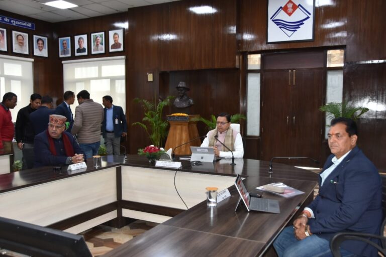 dhami cabinet