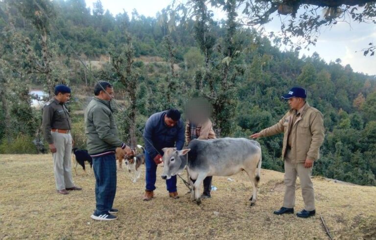 WhatsApp Image 2023-02-11 at 12.42.42 PM