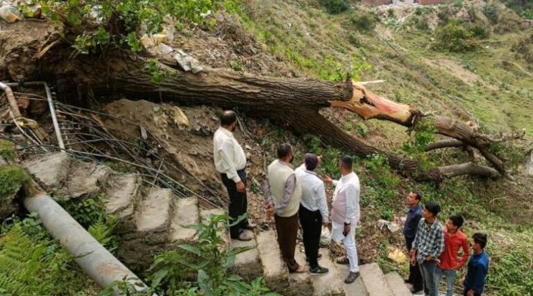 WhatsApp Image 2023-04-23 at 7.10.10 PM