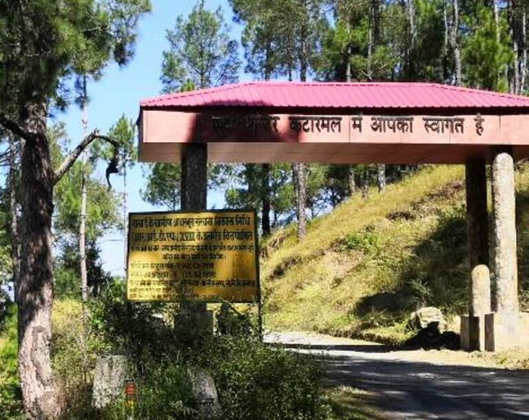 WhatsApp Image 2023-05-03 at 7.06.09 PM