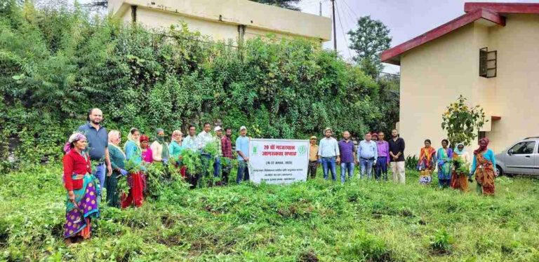 WhatsApp Image 2025-08-23 at 17.42.09_11zon