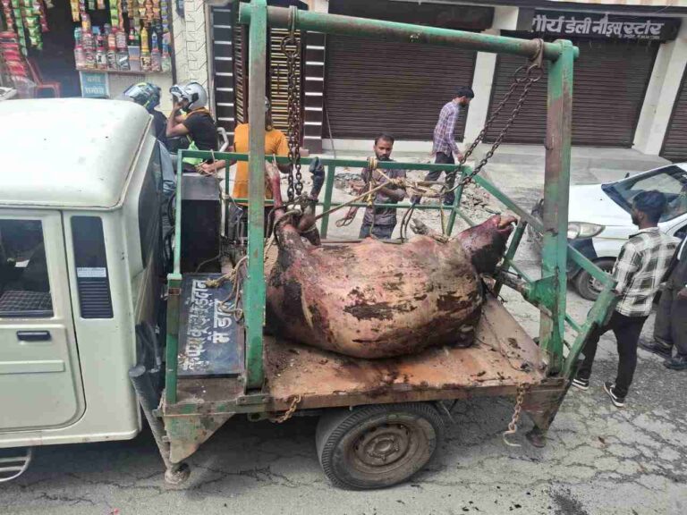 WhatsApp Image 2025-09-16 at 17.14.26_11zon