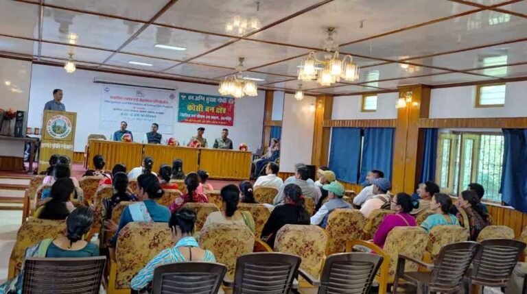 WhatsApp Image 2025-09-25 at 17.49.33_11zon