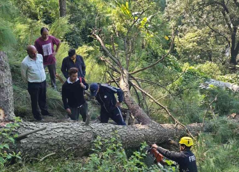 WhatsApp Image 2025-09-27 at 17.18.00_11zon