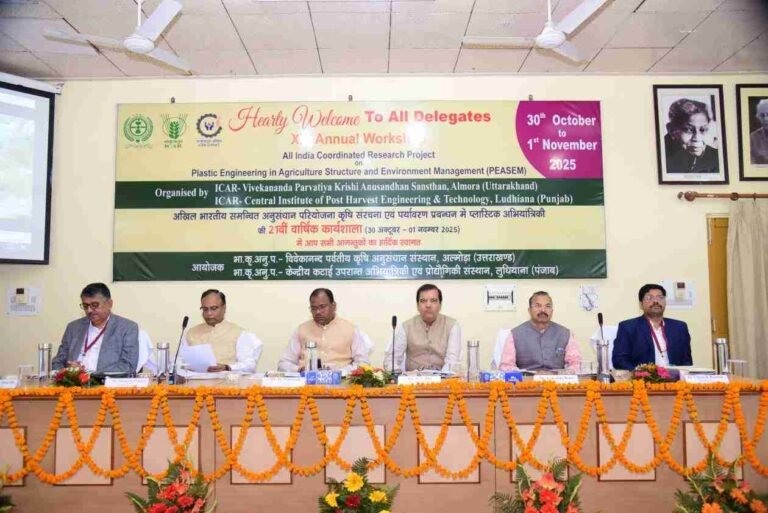 WhatsApp Image 2025-10-30 at 15.54.57_11zon