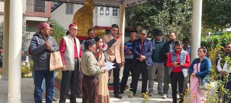 WhatsApp Image 2025-11-04 at 17.46.49