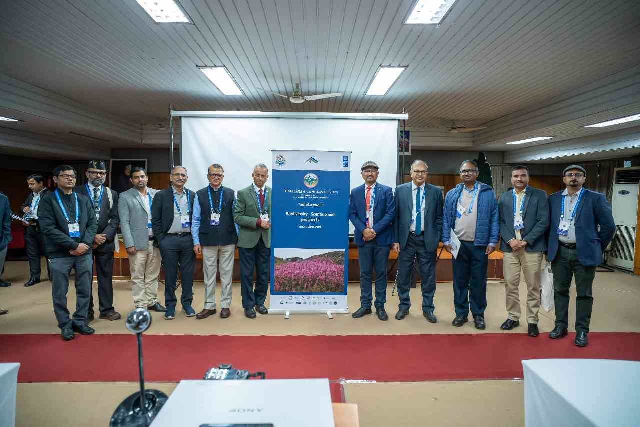 WhatsApp Image 2025-11-14 at 18.48.26_11zon