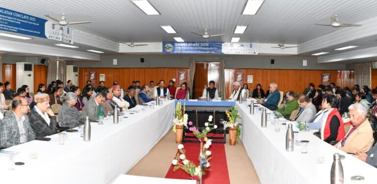 WhatsApp Image 2025-11-15 at 15.52.35