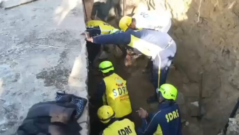 WhatsApp Image 2025-11-25 at 16.48.40