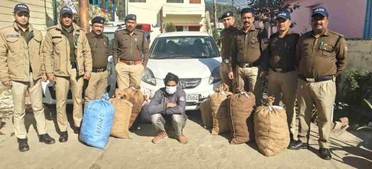 WhatsApp Image 2025-12-08 at 14.46.40_11zon