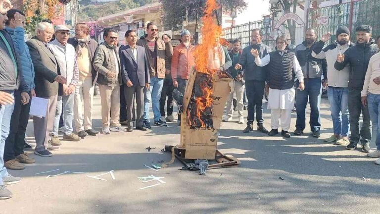 WhatsApp Image 2025-12-17 at 12.32.33_11zon