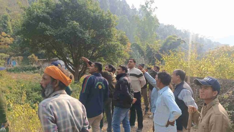 WhatsApp Image 2025-12-18 at 16.49.14_11zon