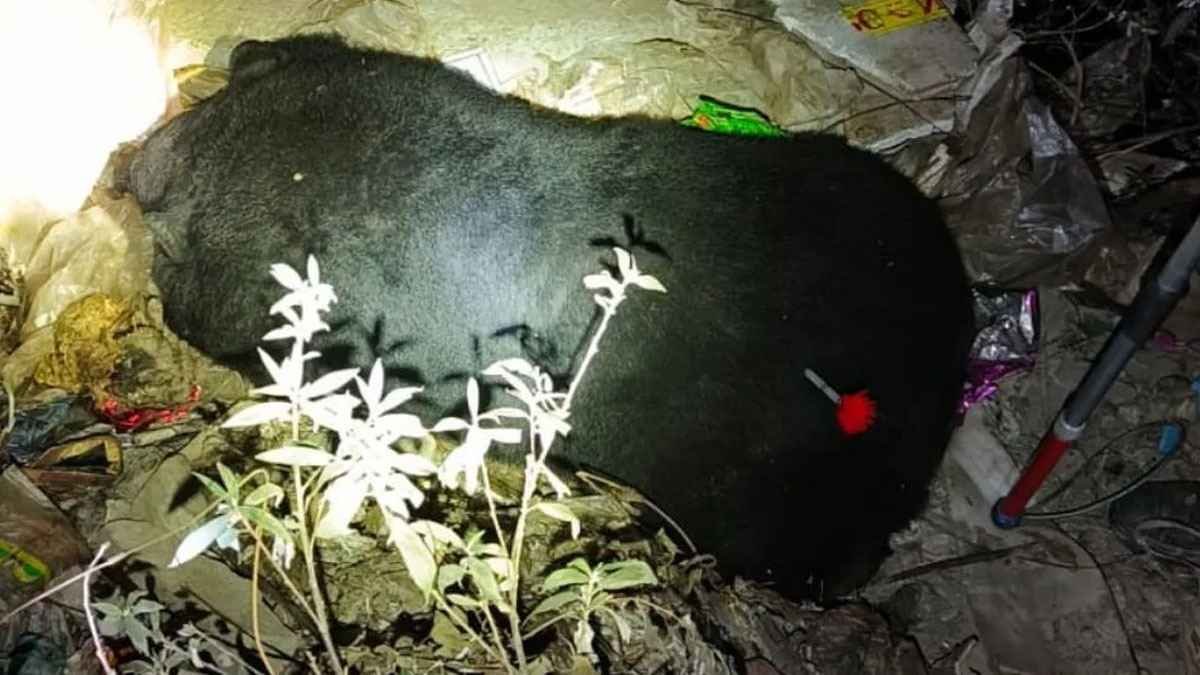 WhatsApp Image 2025-12-27 at 20.09.32_11zon