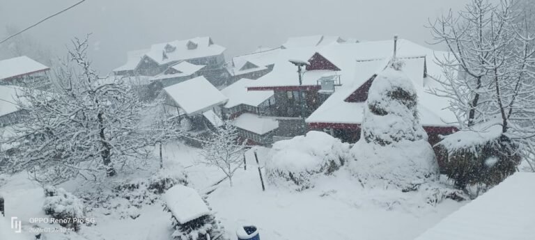 WhatsApp Image 2026-01-23 at 18.47.36