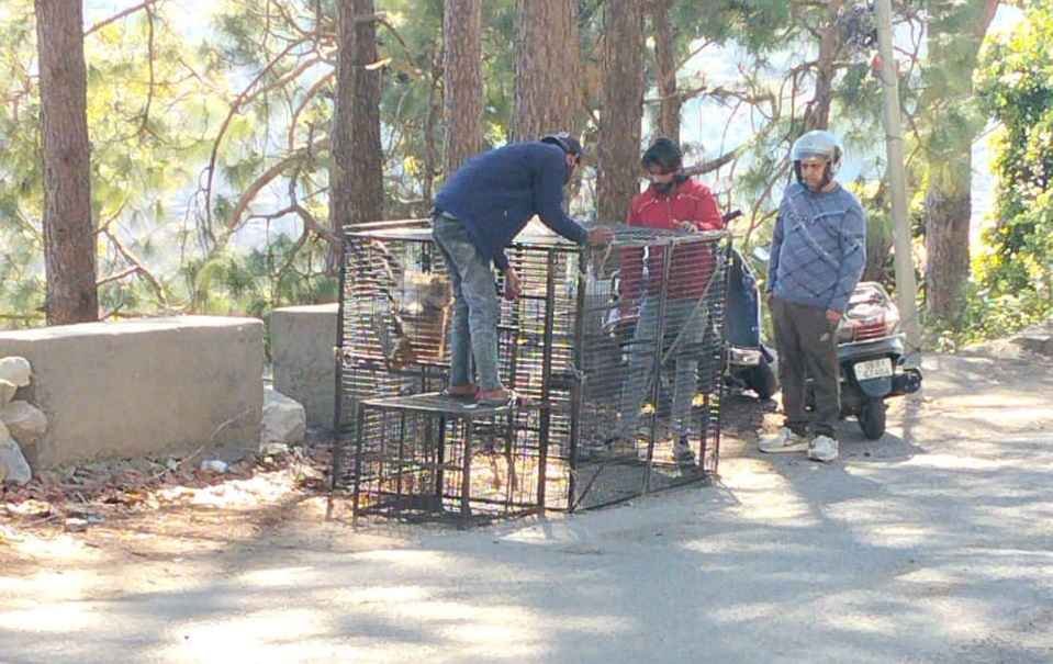 WhatsApp Image 2026-01-29 at 18.40.00_11zon