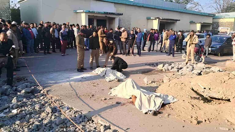 76979221-664e-4be4-9623-889a6124b9f2_1770866854470_1770866858198 (1)_11zon