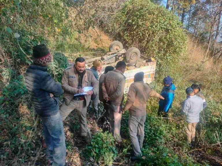 WhatsApp Image 2026-02-20 at 13.42.50_11zon