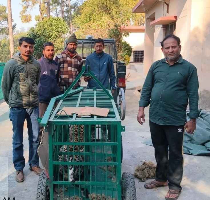 WhatsApp Image 2026-03-03 at 16.45.28_11zon